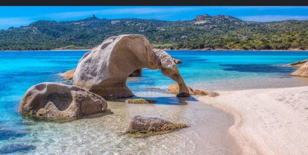 Appartamento Taras Sottovento - Porto Cervo Abbiadori Værelse billede